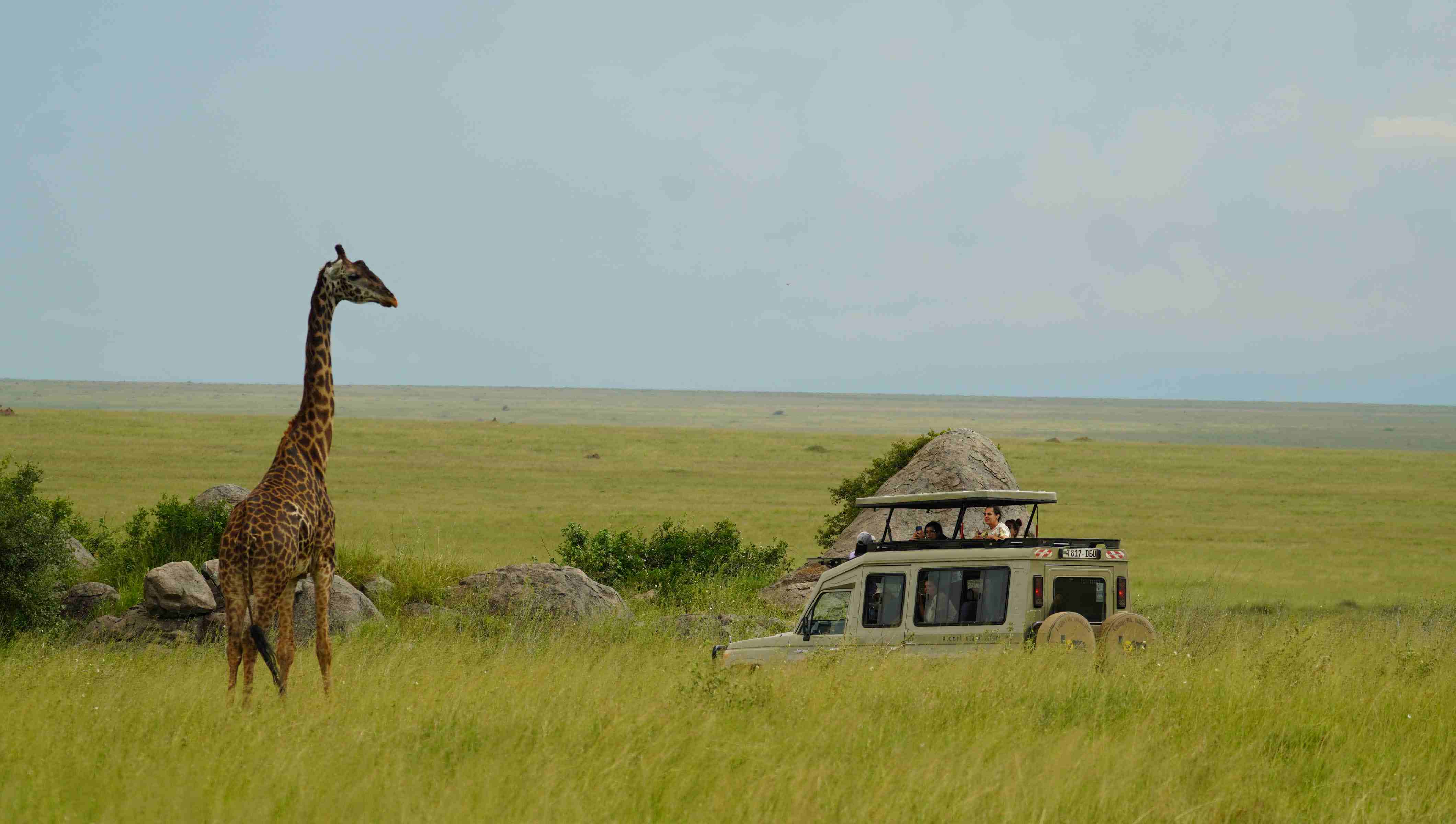Contact Lomo Tanzania Safari